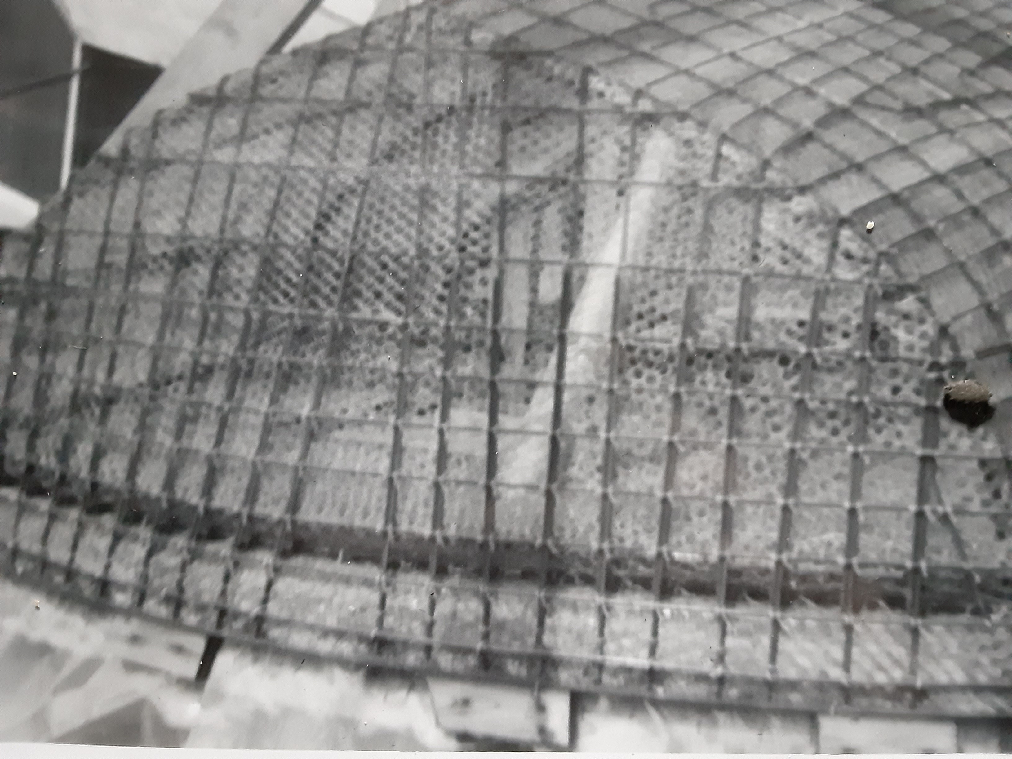Spring Steel Rod